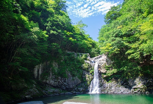 写真：清納の滝