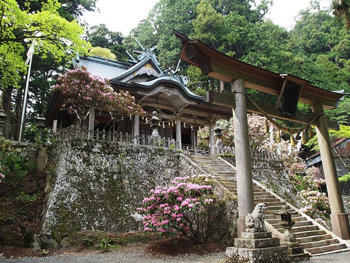 写真：玉置神社